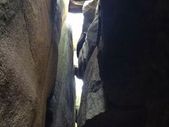 -鲁山国家森林公园