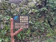 -黄山翡翠谷景区