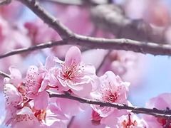 -渭河城市绿地运动公园