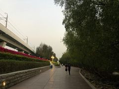 -宝安西湾红树林湿地公园