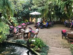-Fern Forest Cafe