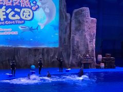 -华夏文旅海洋公园