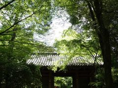 -醍醐寺