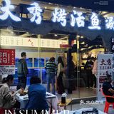 活鱼界的天花板[爱心]
