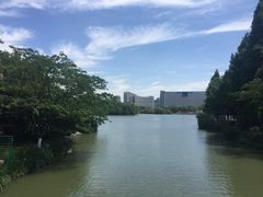 -青枫公园