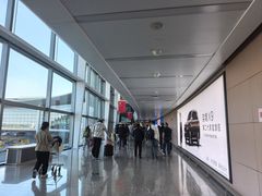 -青岛胶东国际机场
