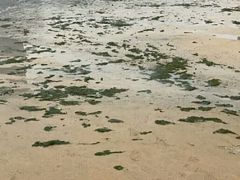 -在海一方公园