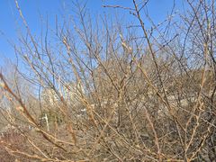 -长春公园(普阳街道)