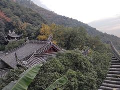 -韬光茶庵