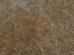 -海云台海滩