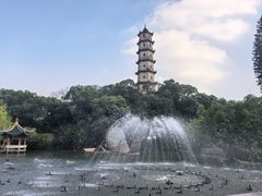 -江心屿景区