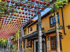 -亭林园-华藏寺