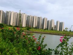 -碧桂园十里银滩