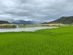 -泸沽湖国家级风景名胜区走婚桥