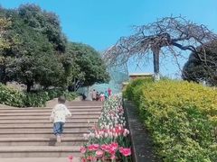 -南山植物园