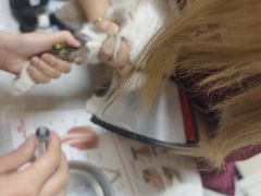 -德元·美联众合24小时动物医院(总院)