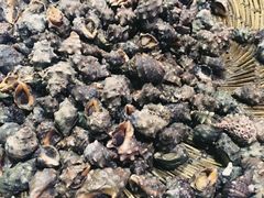 -美乐食街(小南店)