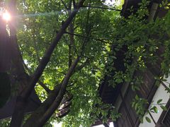 -涞滩古镇