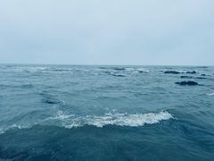 -日照海滨国家森林公园