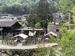 -MOJ coffee(瓯海泽雅水碓坑店)