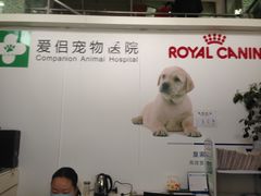 -爱侣宠医·鹦鹉专科·小型哺乳类·异宠专科(灵石路店)