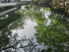 -拙政园