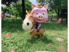 -田园东方蜜桃村的田野营地