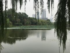 -月湖风景区