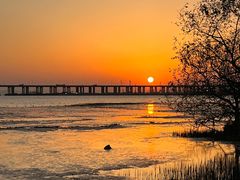 -宝安西湾红树林湿地公园