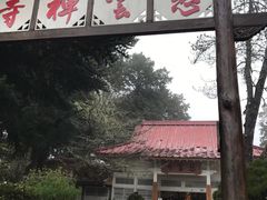 -台北101