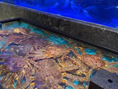 -忆江南·临江鱼馆