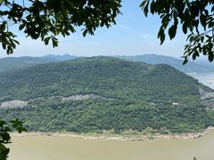 -铁山坪森林公园