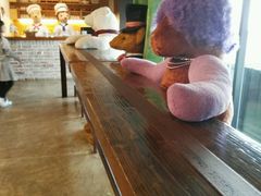 -济州岛泰迪熊博物馆