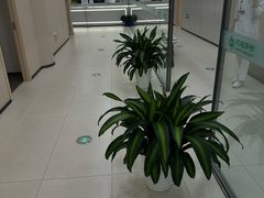 -慈铭体检(洋桥分院)