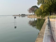 -品鲜村农家菜·阳澄湖大闸蟹(总店)