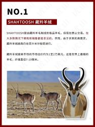 -优山定制西服衬衫大衣(国贸店)