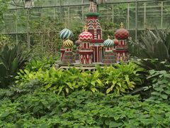 -南宫五洲植物乐园