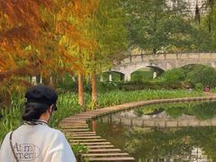 -重庆彩云湖湿地公园