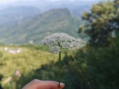 -白草畔自然风景区