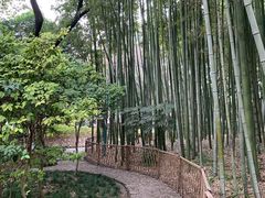 -汇龙潭