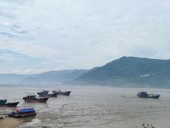 -北岐滩涂