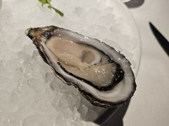 生蚝-Oyster Talks 四度蚝法餐厅