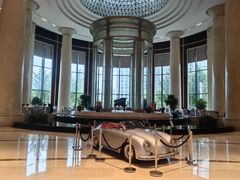 -新都绿城喜来登酒店大堂吧