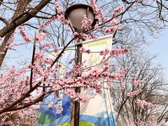 -元大都城垣遗址公园