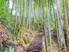 -莫干山风景区
