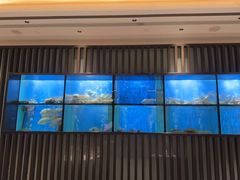 -珍宝海鲜JUMBO Seafood(尚嘉店)