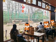 -上海野生动物园老虎餐厅