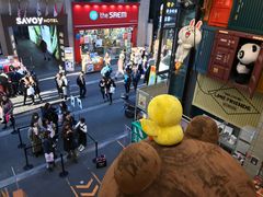 -line friends(明洞旗舰店)