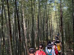 -南京市无想山景区