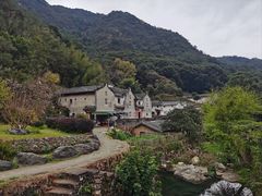 -雁南飞茶田景区